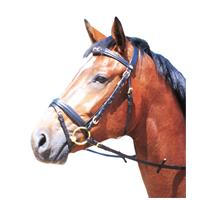 Zäume engl. Kombination